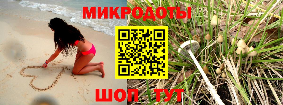 Псилоцибиновые грибы прущие грибы Батайск