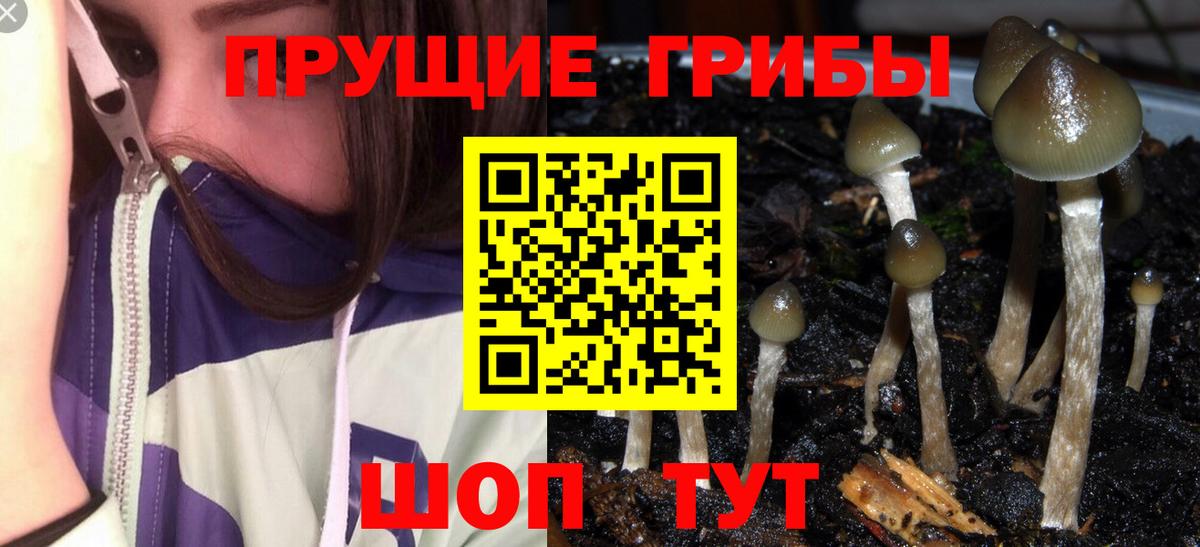 Галлюциногенные грибы Magic Shrooms Батайск